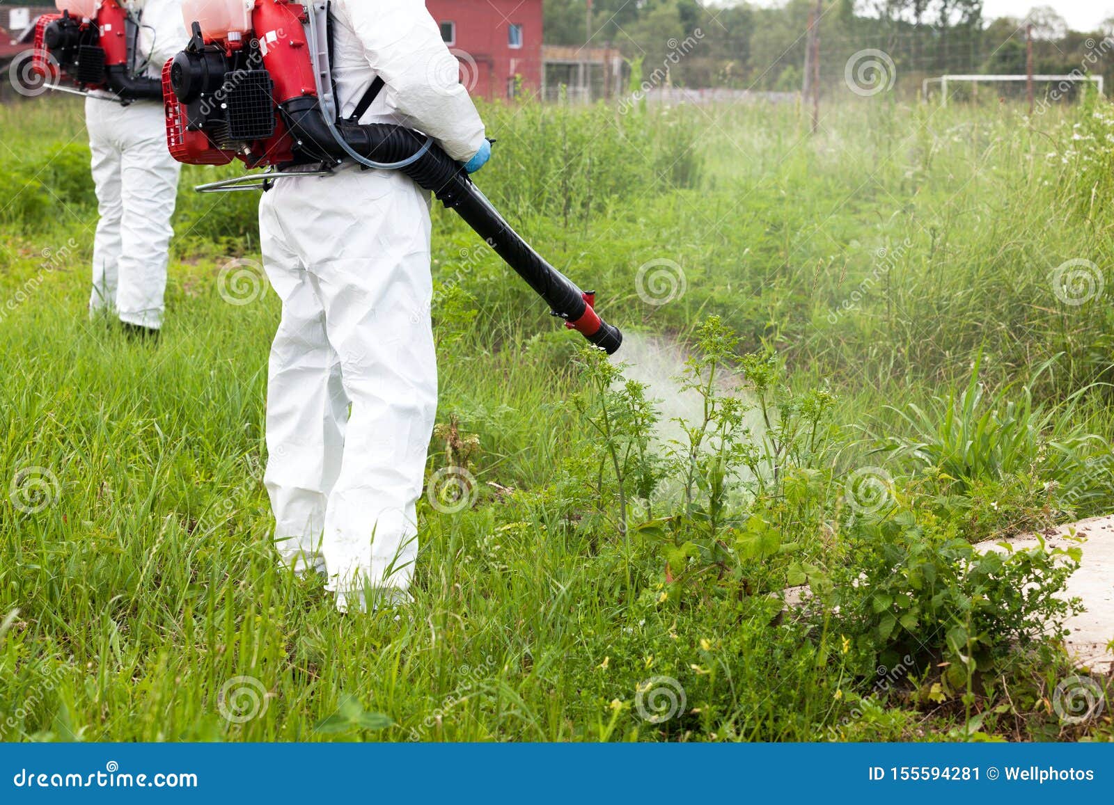 Man in Protective Workwear Spraying Herbicide on Ragweed in an Urban Area. Weed  Control. Stock Image - Image of endemic, area: 155594281
