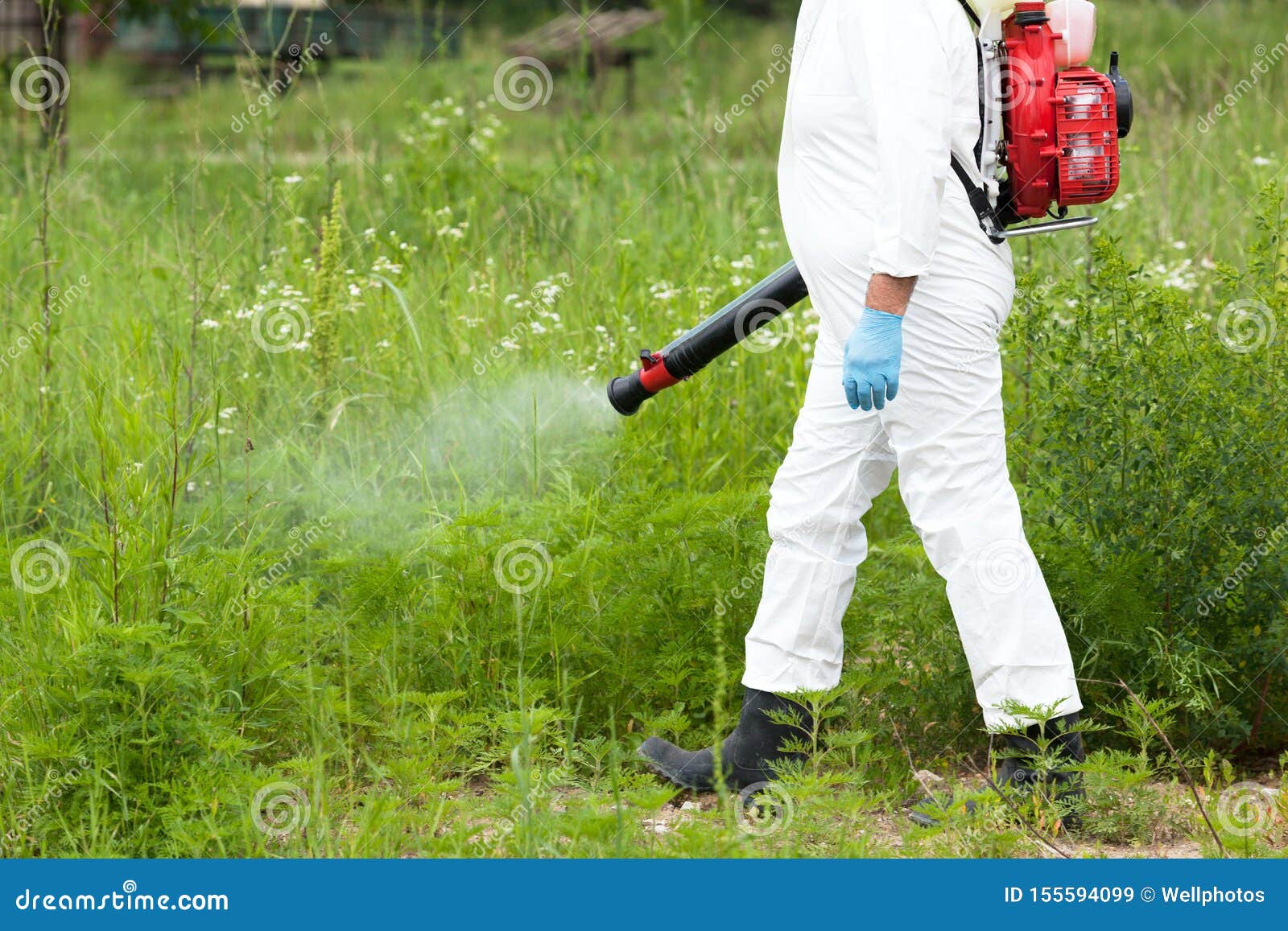 Man in Protective Workwear Spraying Herbicide on Ragweed. Weed Control