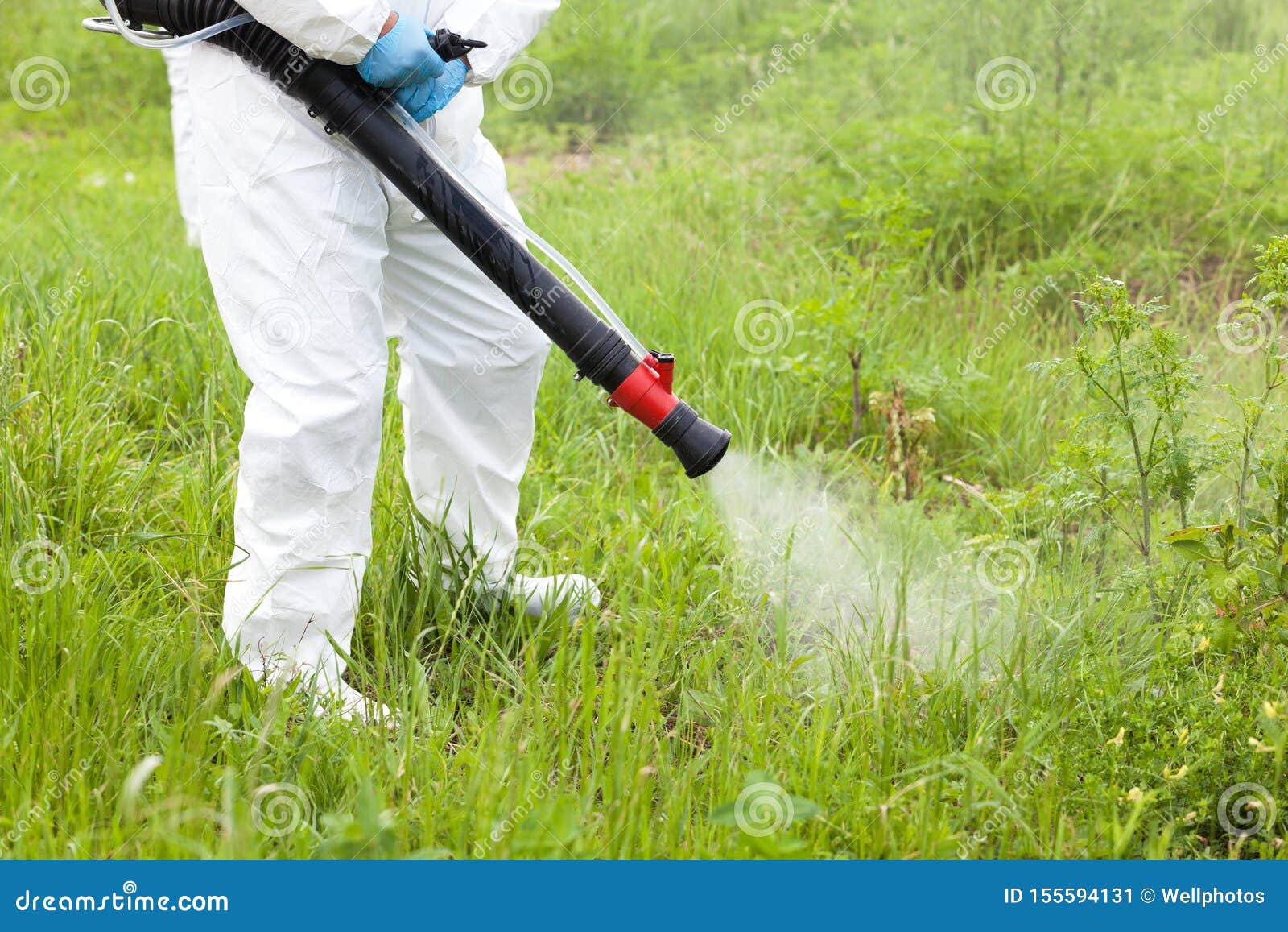 Man in Protective Workwear Spraying Herbicide on Ragweed. Weed Control