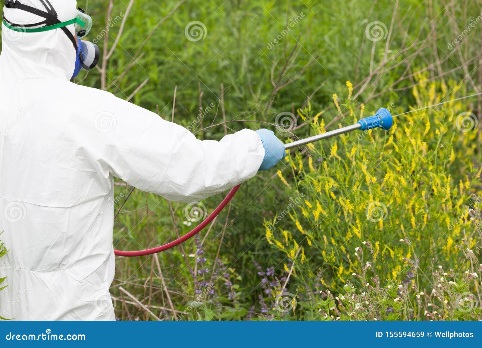 Man in Protective Workwear Spraying Herbicide on Ragweed. Weed Control