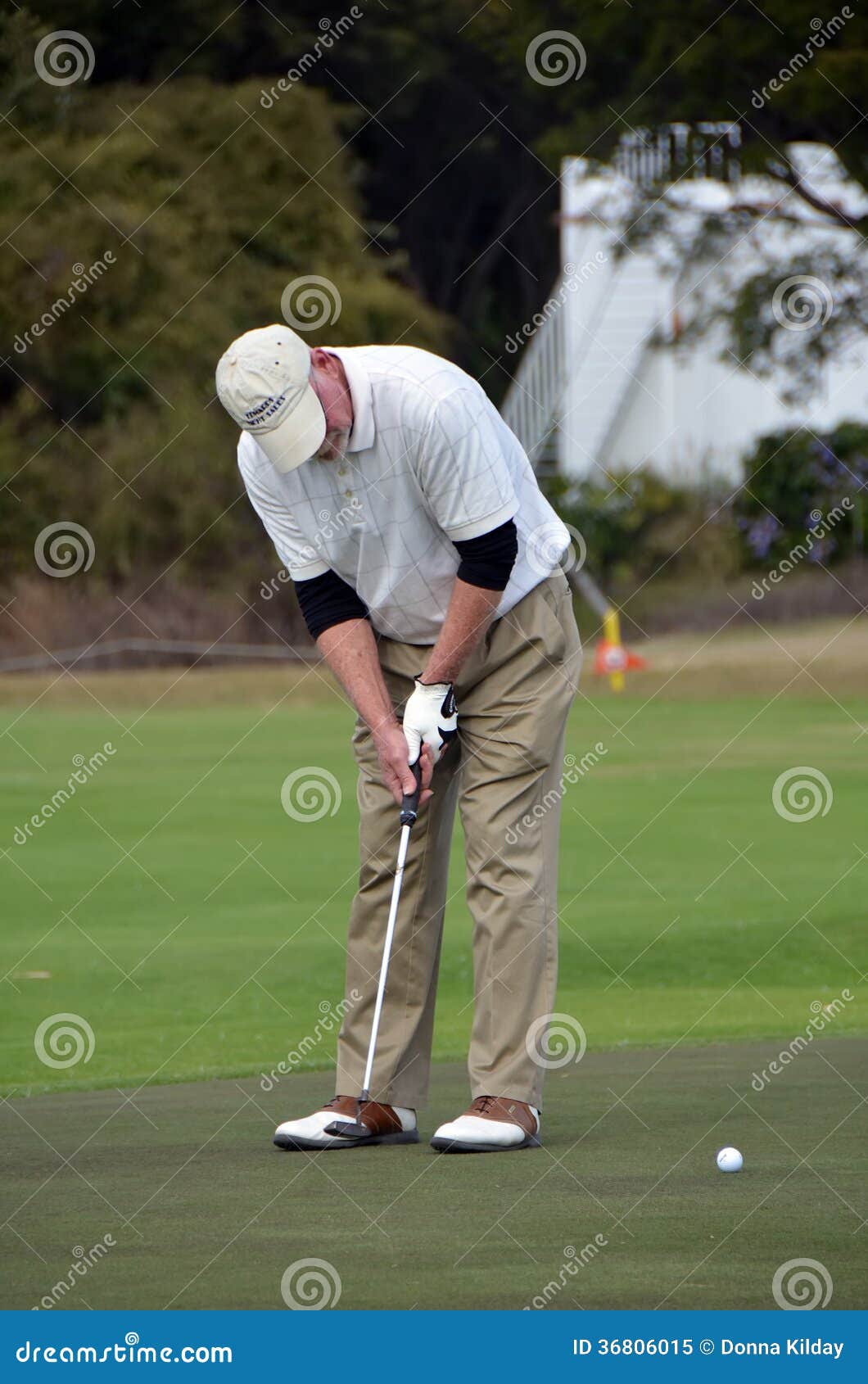 Man putting on golf greens editorial image. Image of ball 36806015