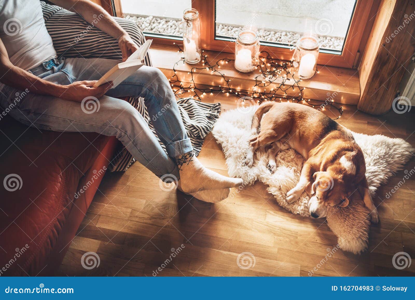 man reading book on the cozy couch near slipping his beagle dog on sheepskin in cozy home atmosphere. peaceful moments of cozy