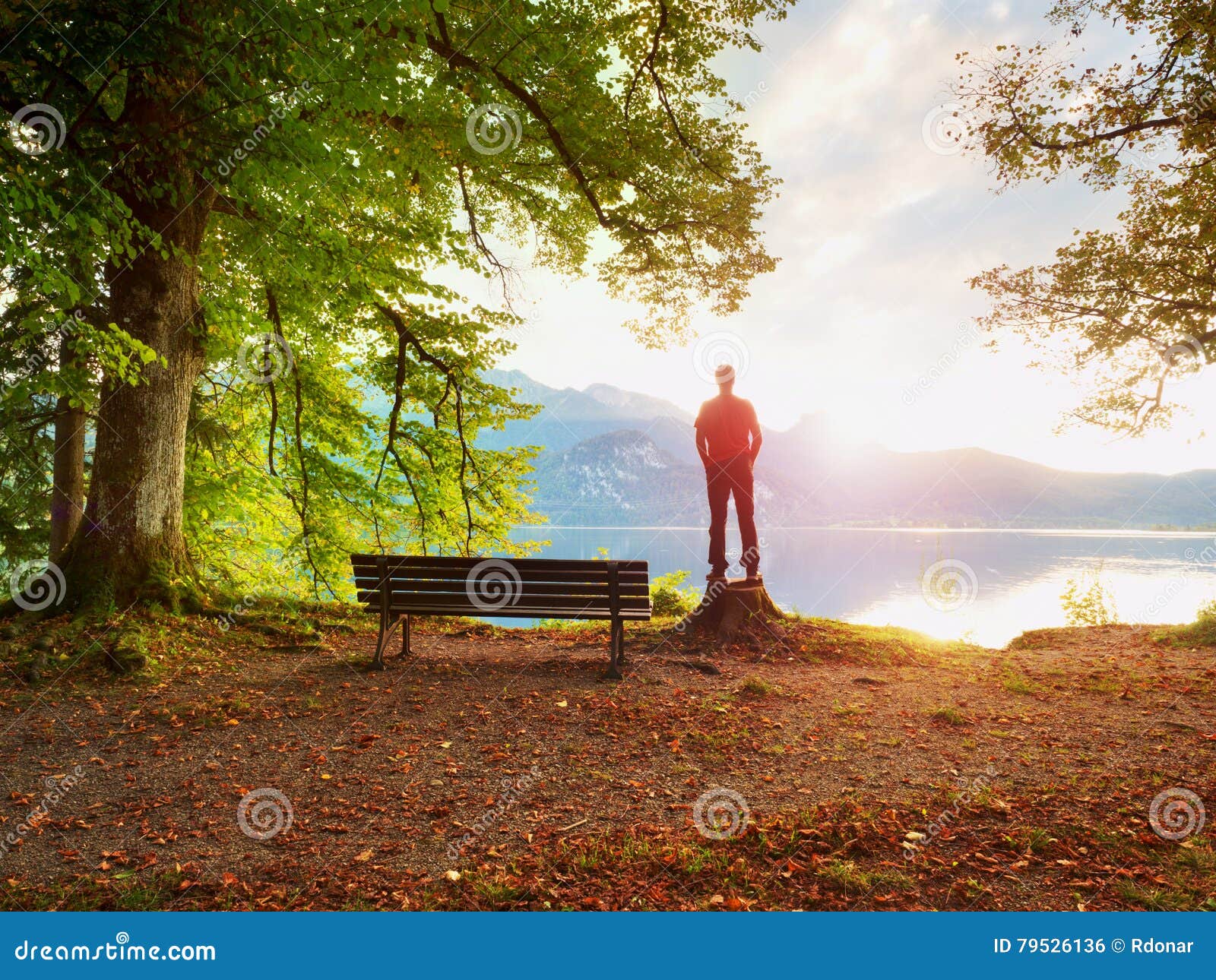 Man In Red Jacket And Black Trousers Stand On Tree Stump Empty