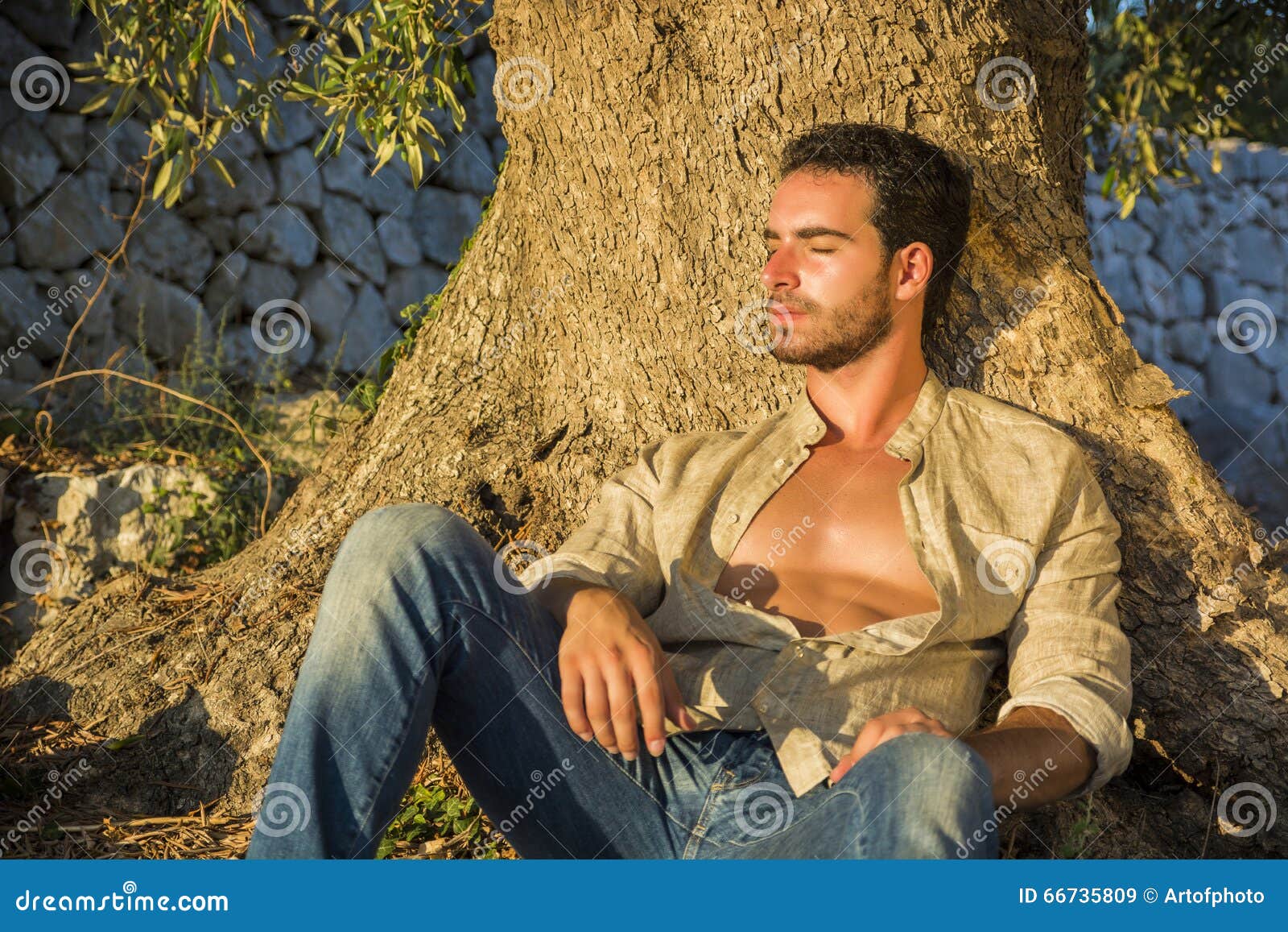 Man Relaxing in Warm Sunlight at Base of Tree Stock Image - Image of ...