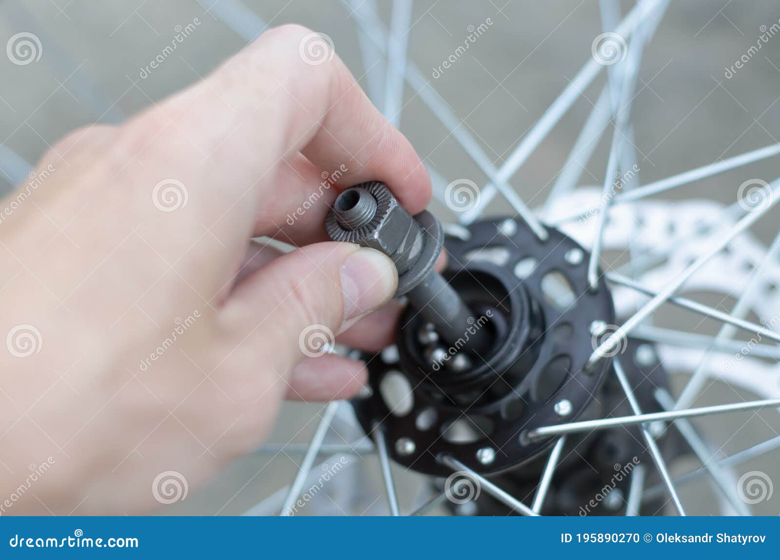 Replacement of Bearings on the Front Wheel Stock Photo Image of