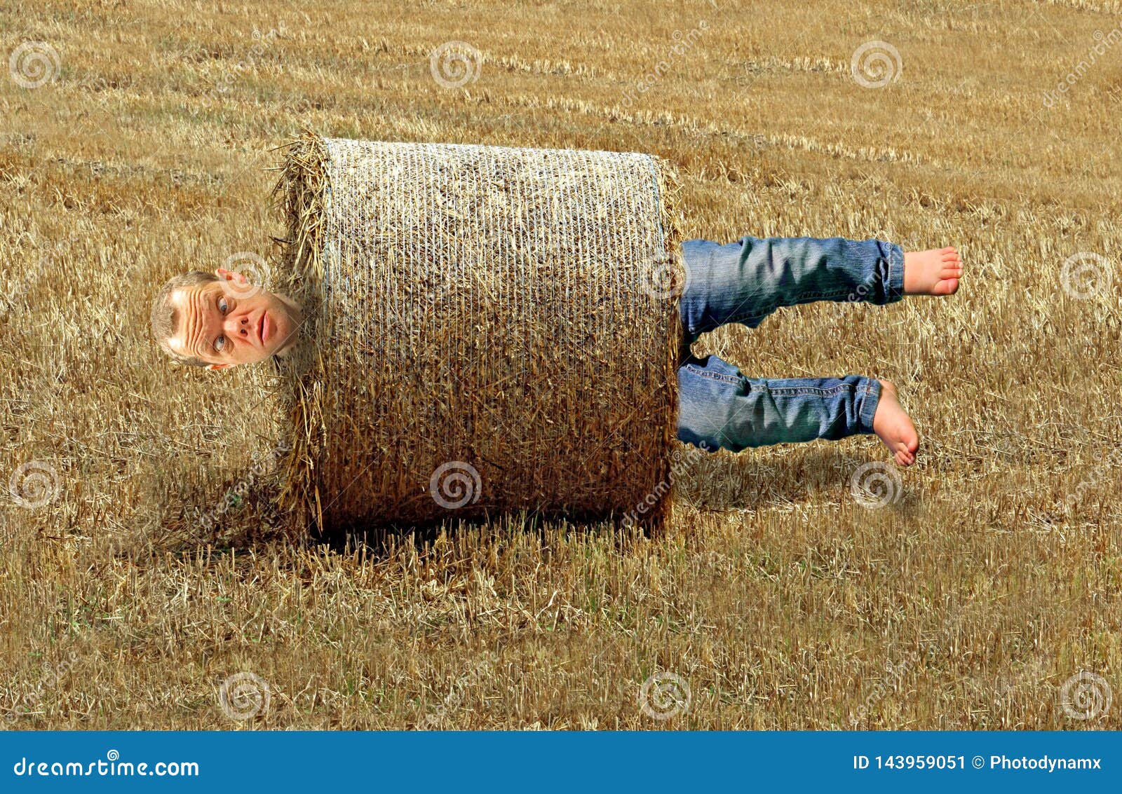 Man Rolled Up In Farming Hay Bale Accident Stuck Between A Rock And A Hard Place Stock Image Image Of Barley Farming