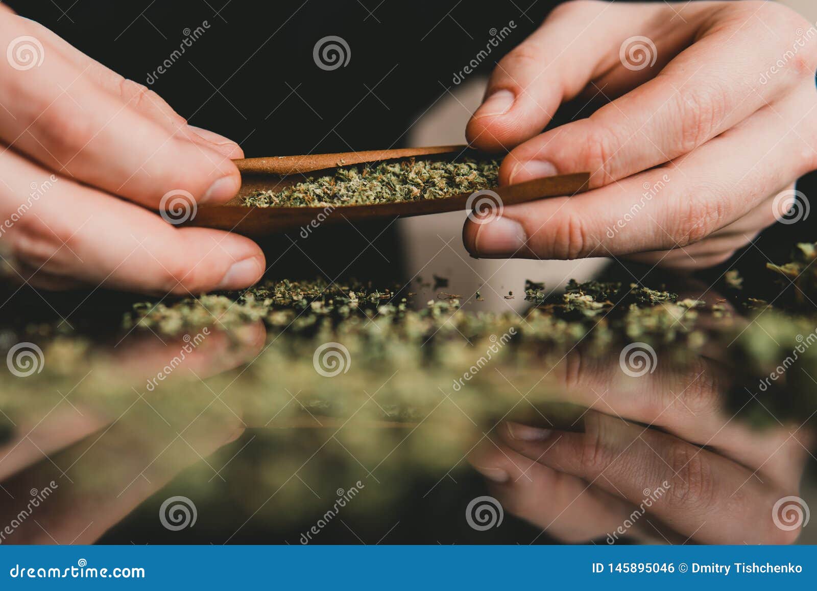 Man Rolling a Marijuana Weed Blunt. Close Up Marijuana Joint with