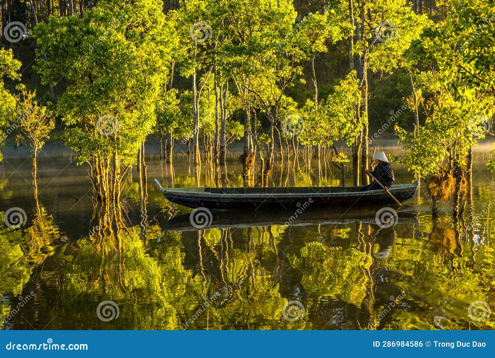 Man Rowing a Boat, Shot from the Back Stock Photo Image of side, back