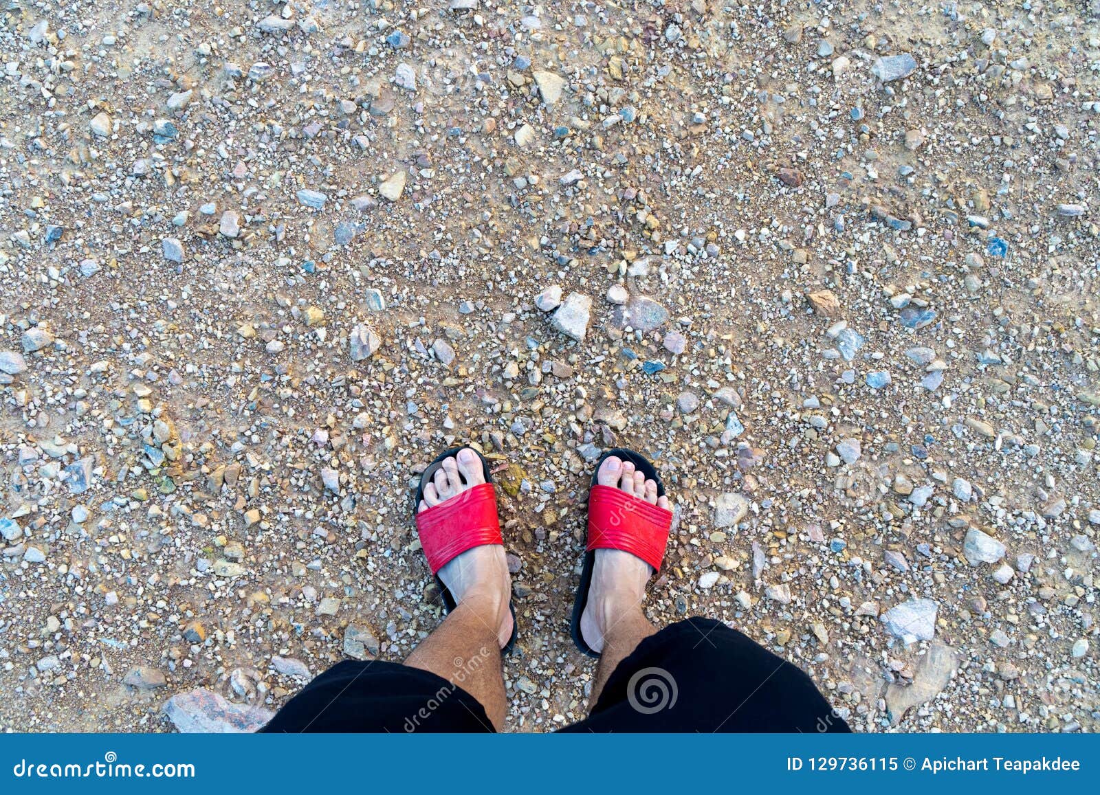 Man`s Feet with Red Sandals Stock Image - Image of color, relax: 129736115