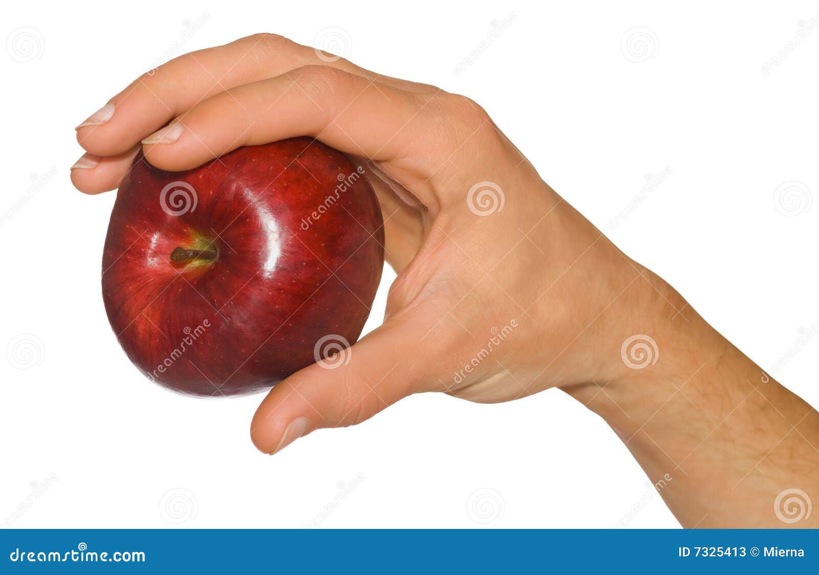 Man S Hand Holding an Apple Stock Image Image of single, tasty 7325413