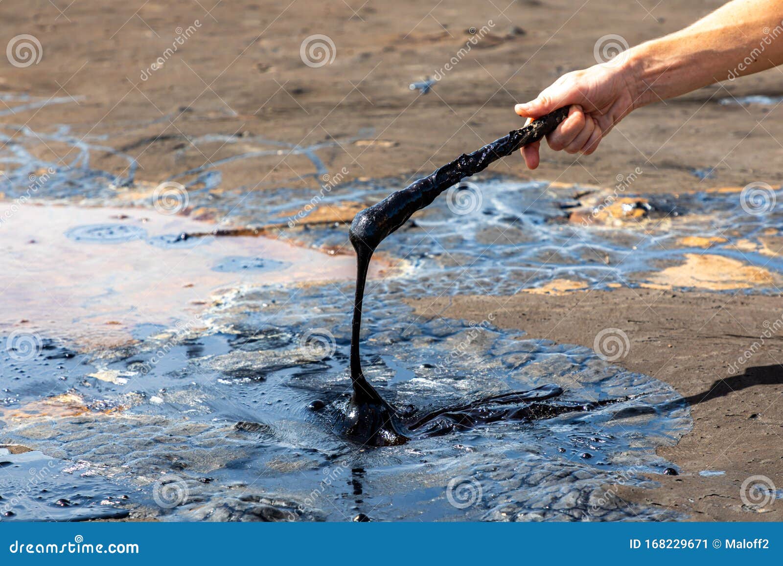 a man`s hand stirring liquid asphalt with a wooden stick at pitch lake, la brea, trinidad island, trinidad and tobago