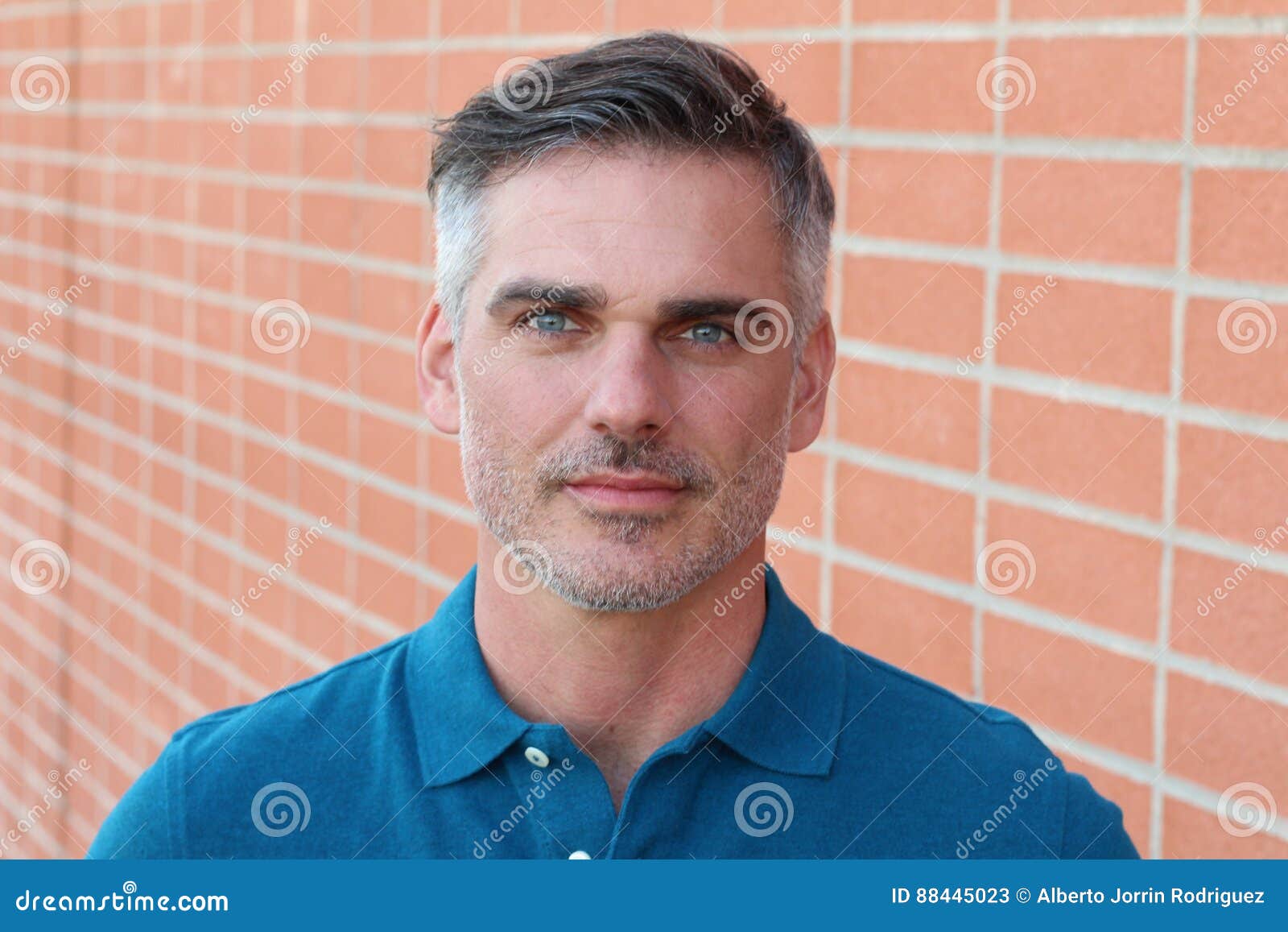 Man with Salt and Pepper Hair Close Up Stock Image - Image of good,  perfection: 88445023