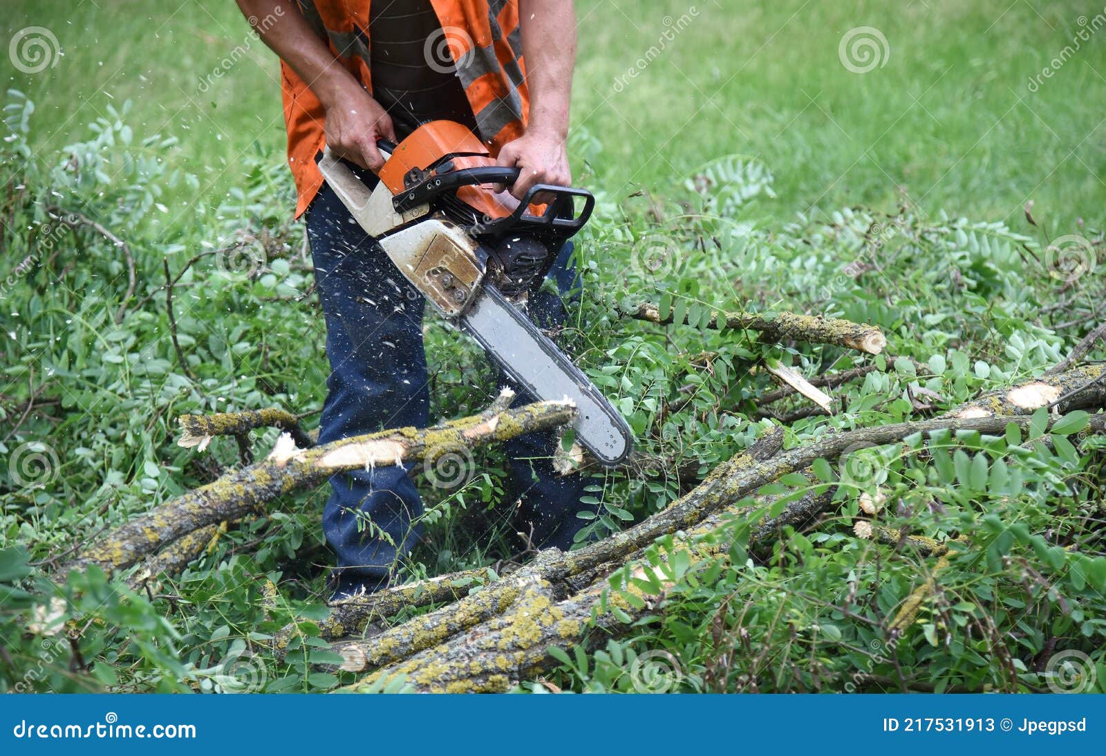 A Man Saws a Tree Branch with a Chainsaw. Stock Image Image of branches, power 217531913