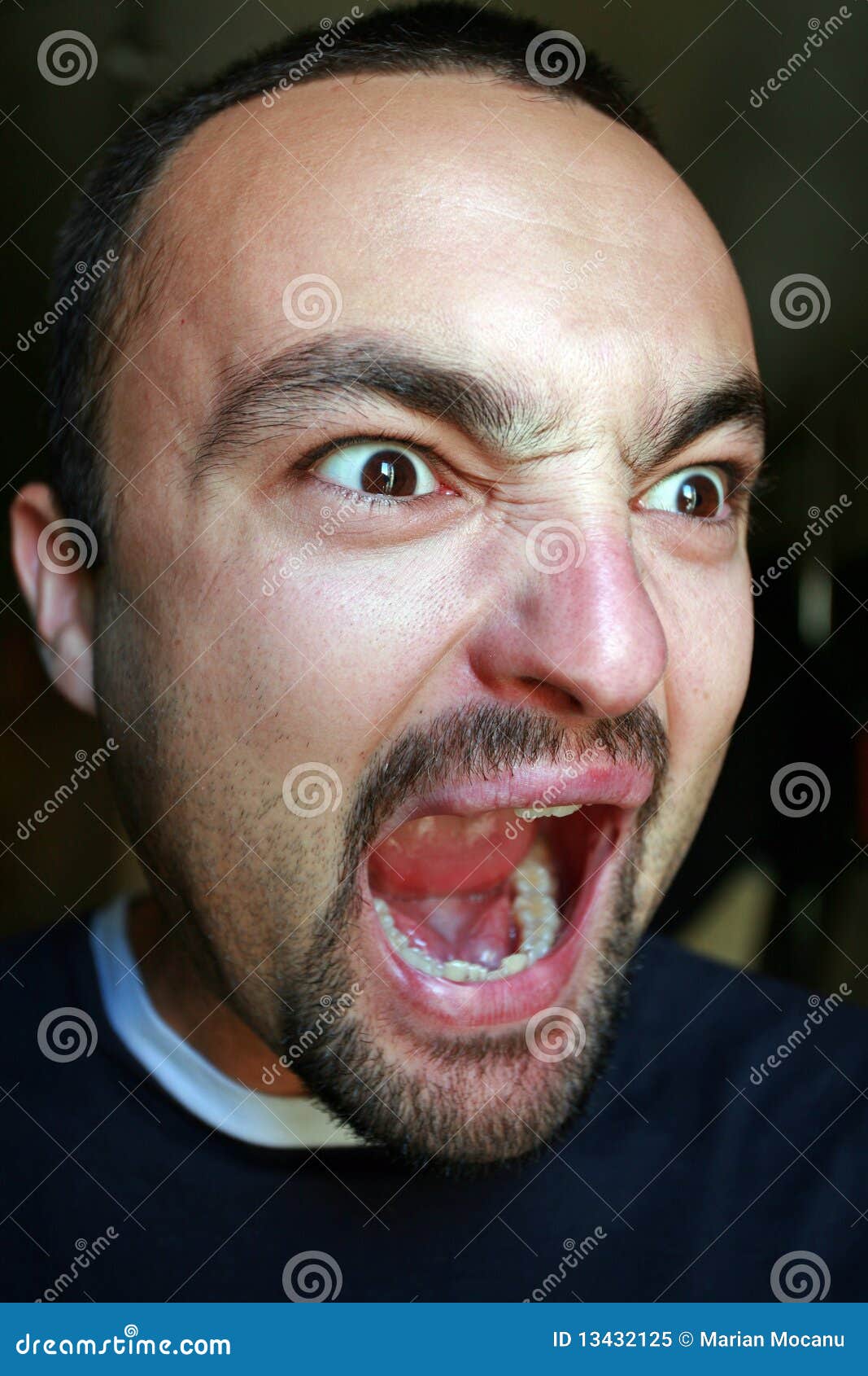 Man screming stock image. Image of action, look, portrait - 13432125