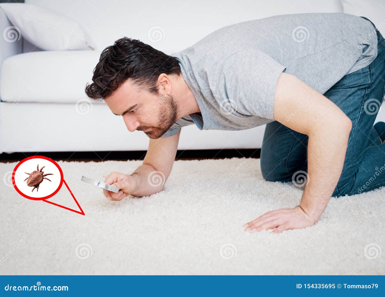 Dust Mites In Couch - falljobros