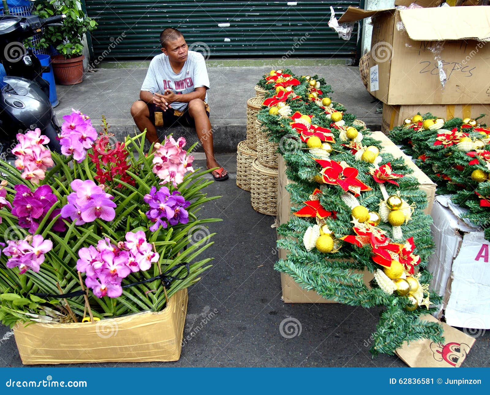 A Man Sells Decorative Plants And Flowers And Christmas  