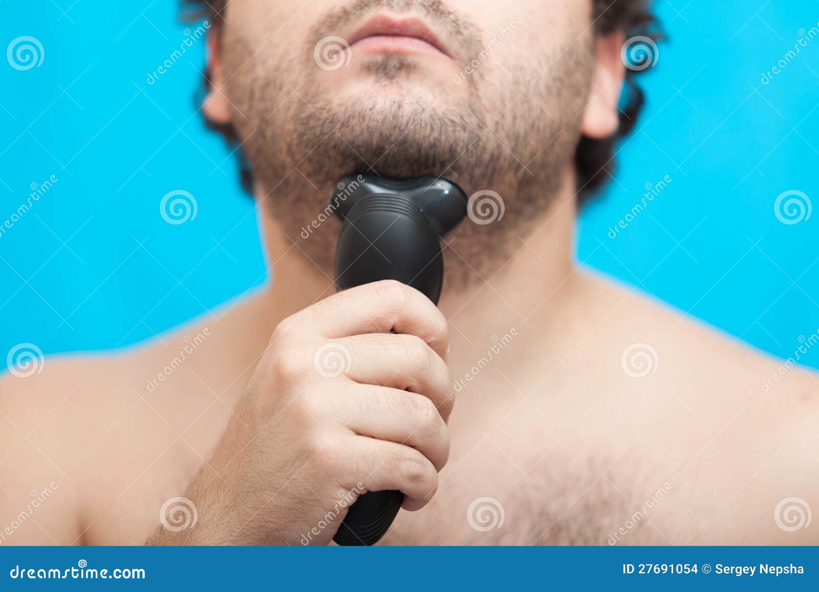 blue Chin shaved blue Chin shaved