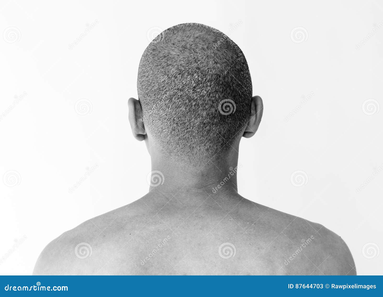 man shirtless rear view studio portrait