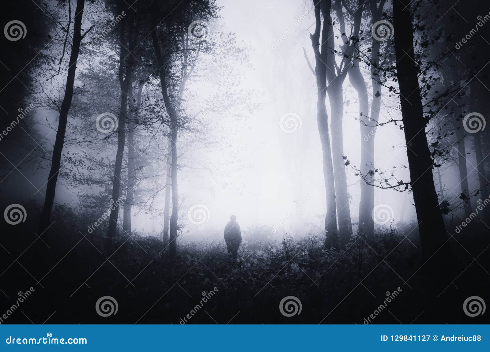 Man Silhouette In Scary Dark Haunted Forest With Fog Stock Image Image Of Landscape Black