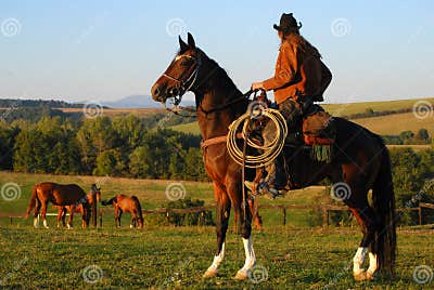 Man sitting on his horse stock photo. Image of love, look - 6787574