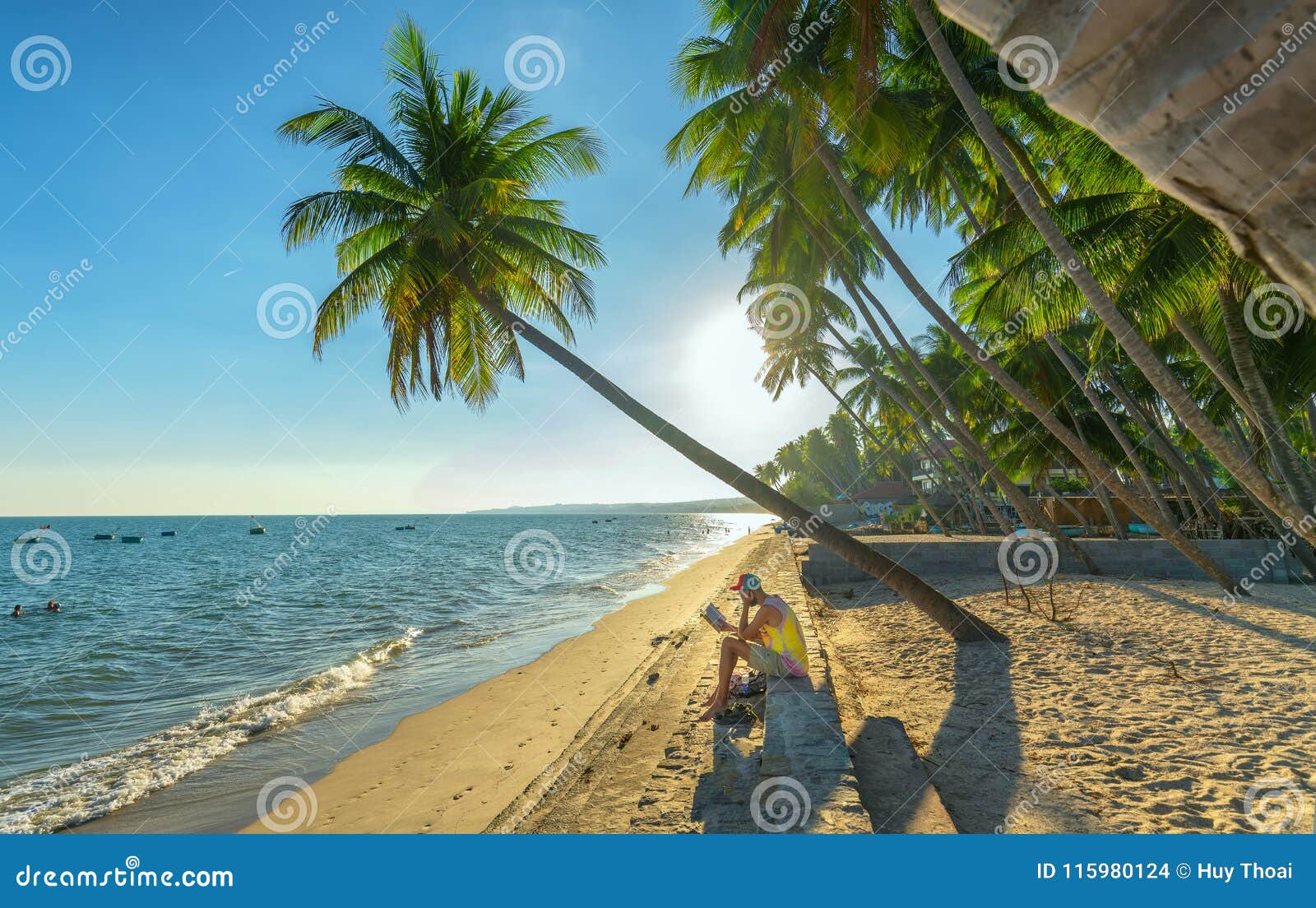 Man Sitting Reading Book Beside Coconut Palm Trees At - 