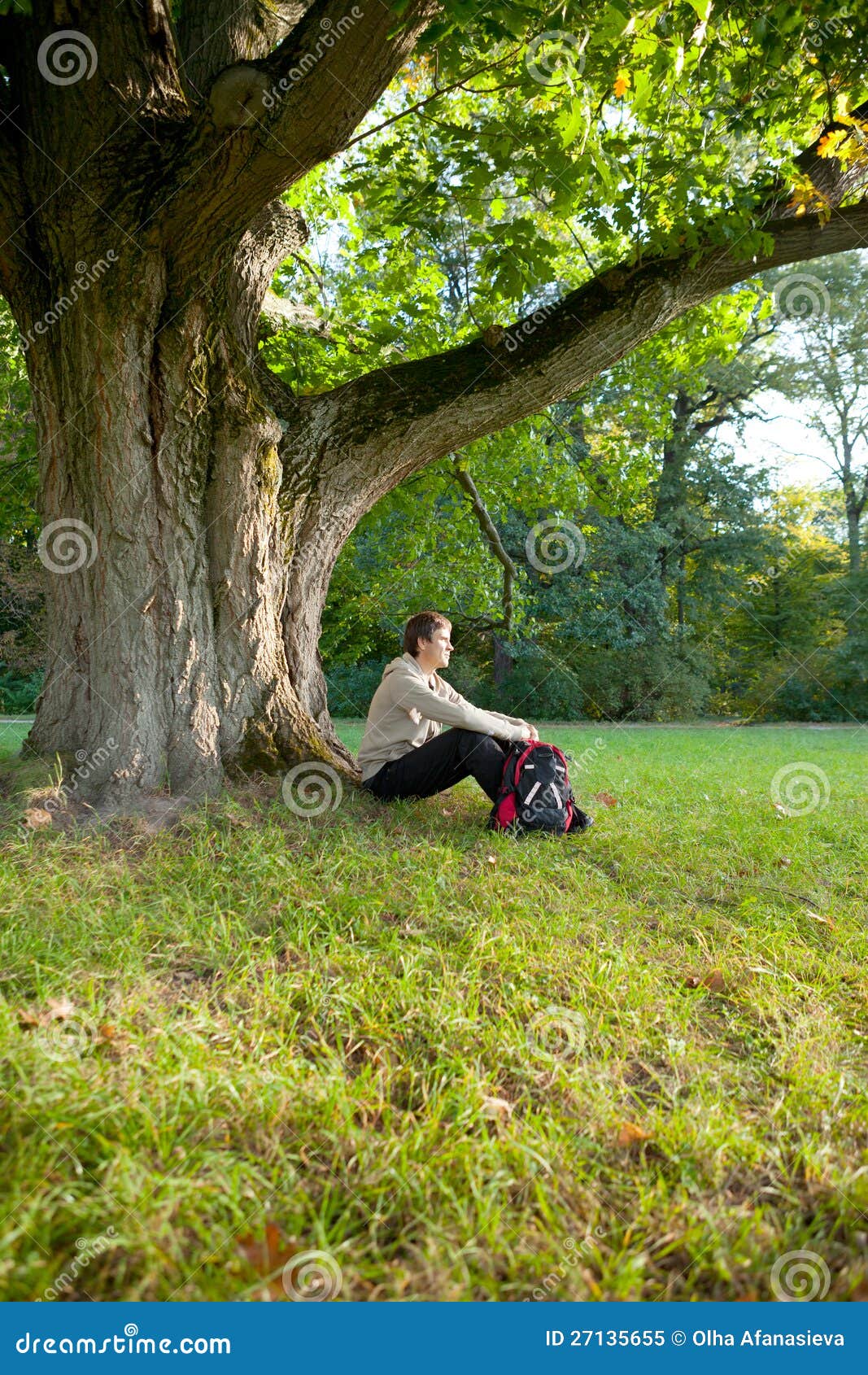 Man Is Sitting Resting Under Tree Stock Image - Image of outdoor