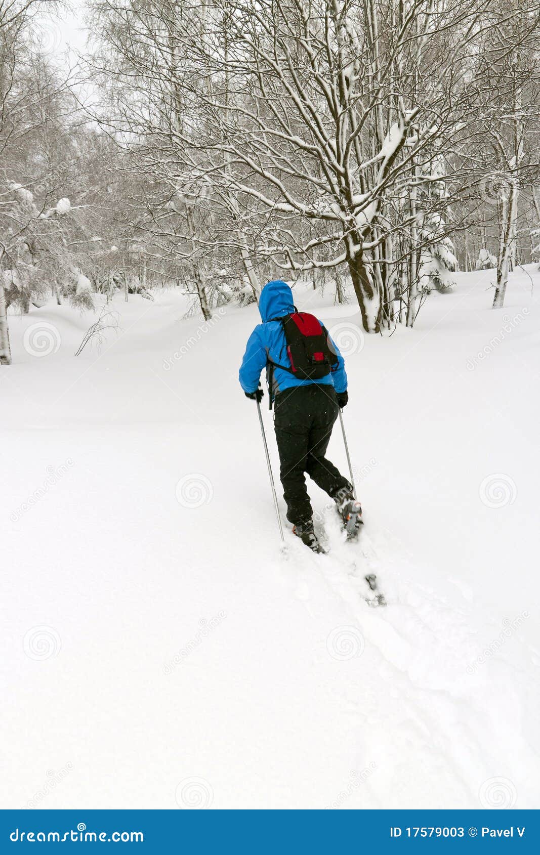 Man with snowshoes stock image. Image of hiking, feet - 17579003