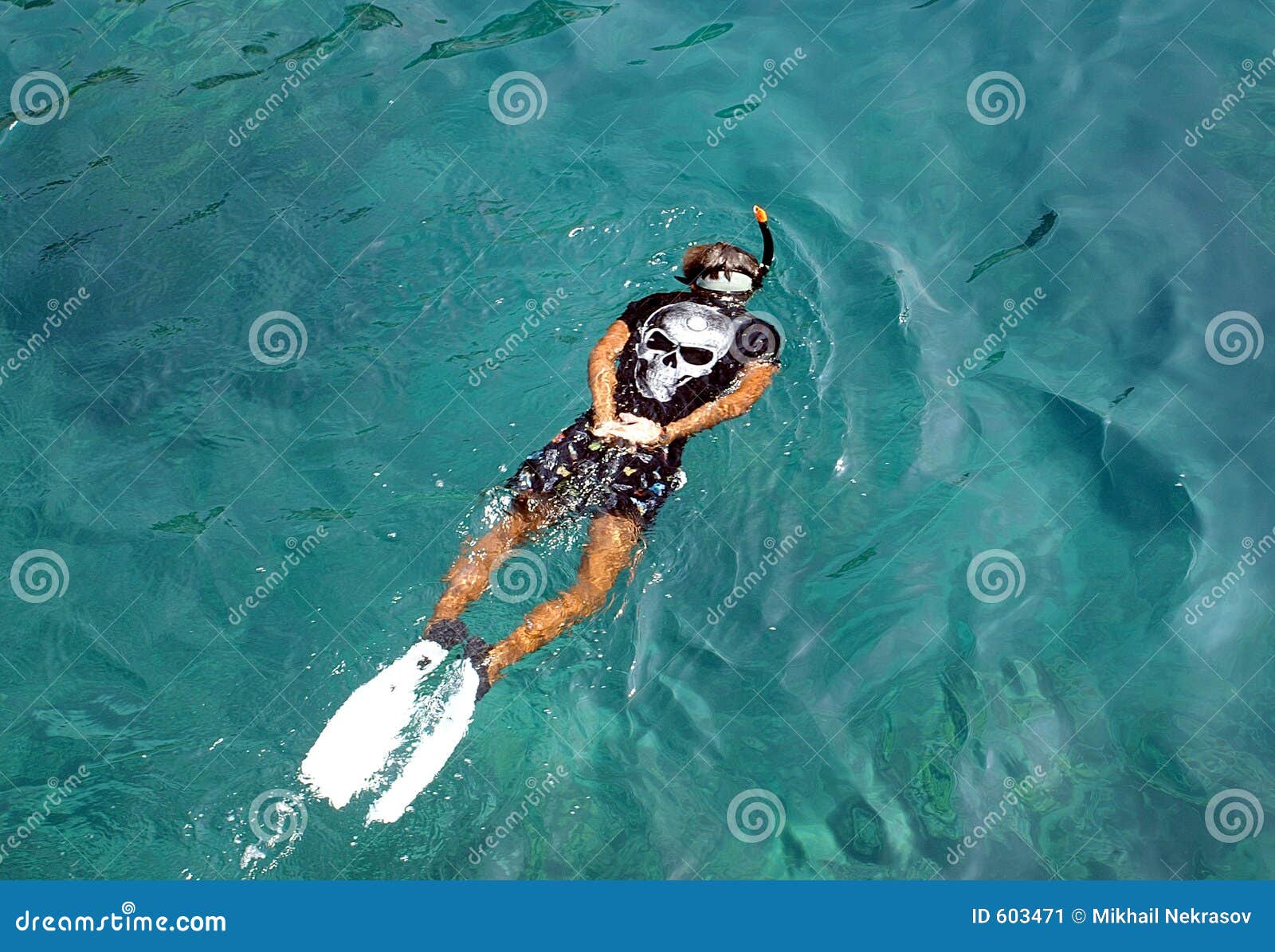 Man som snorkeling. Thai snorkeling för man för ko för skärgårdchanggolf