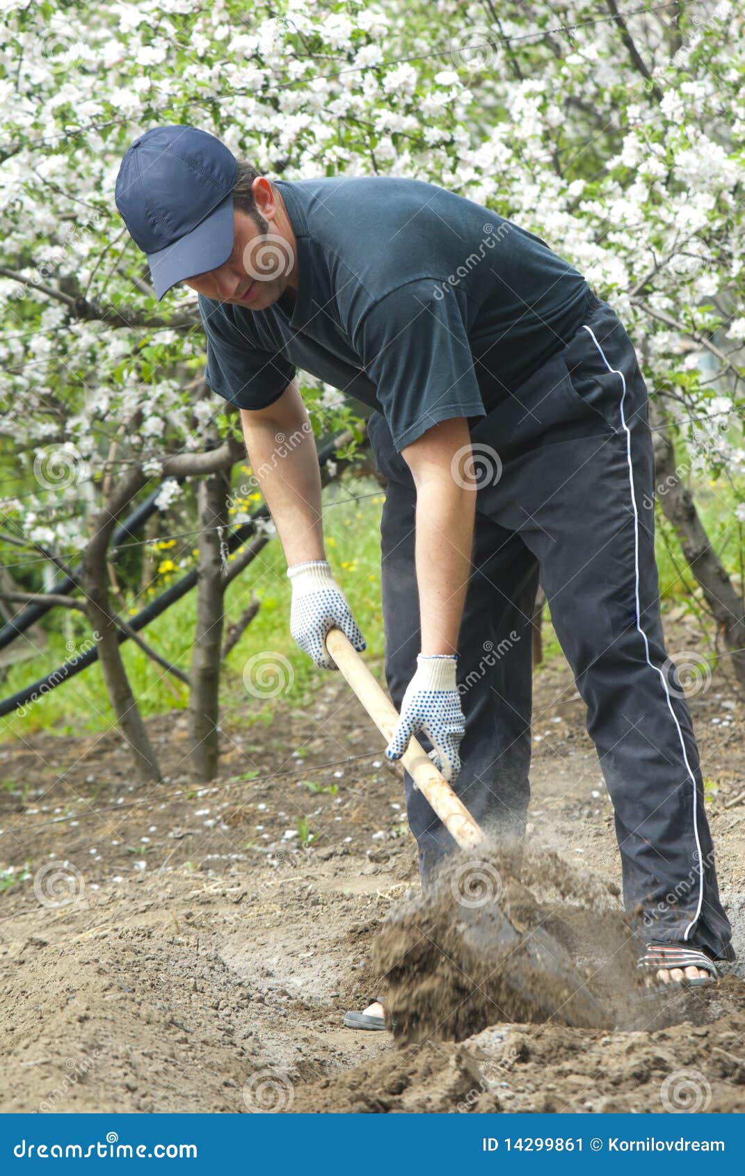 Man with spade stock image. Image of bend, landscape - 14299861