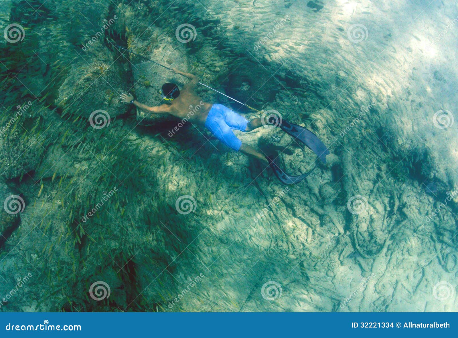 https://thumbs.dreamstime.com/z/man-spearfishing-spear-pole-underwater-bahamas-32221334.jpg