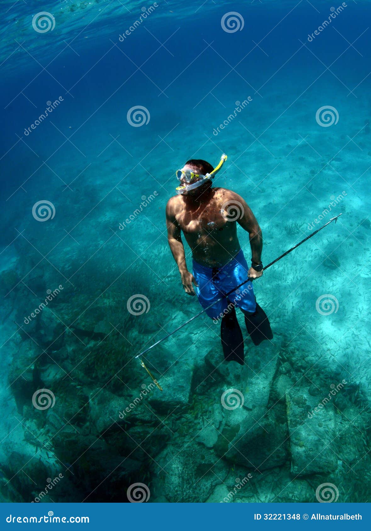 Man Spearfishing Underwater Stock Photo - Image of snorkel, fins: 32221348