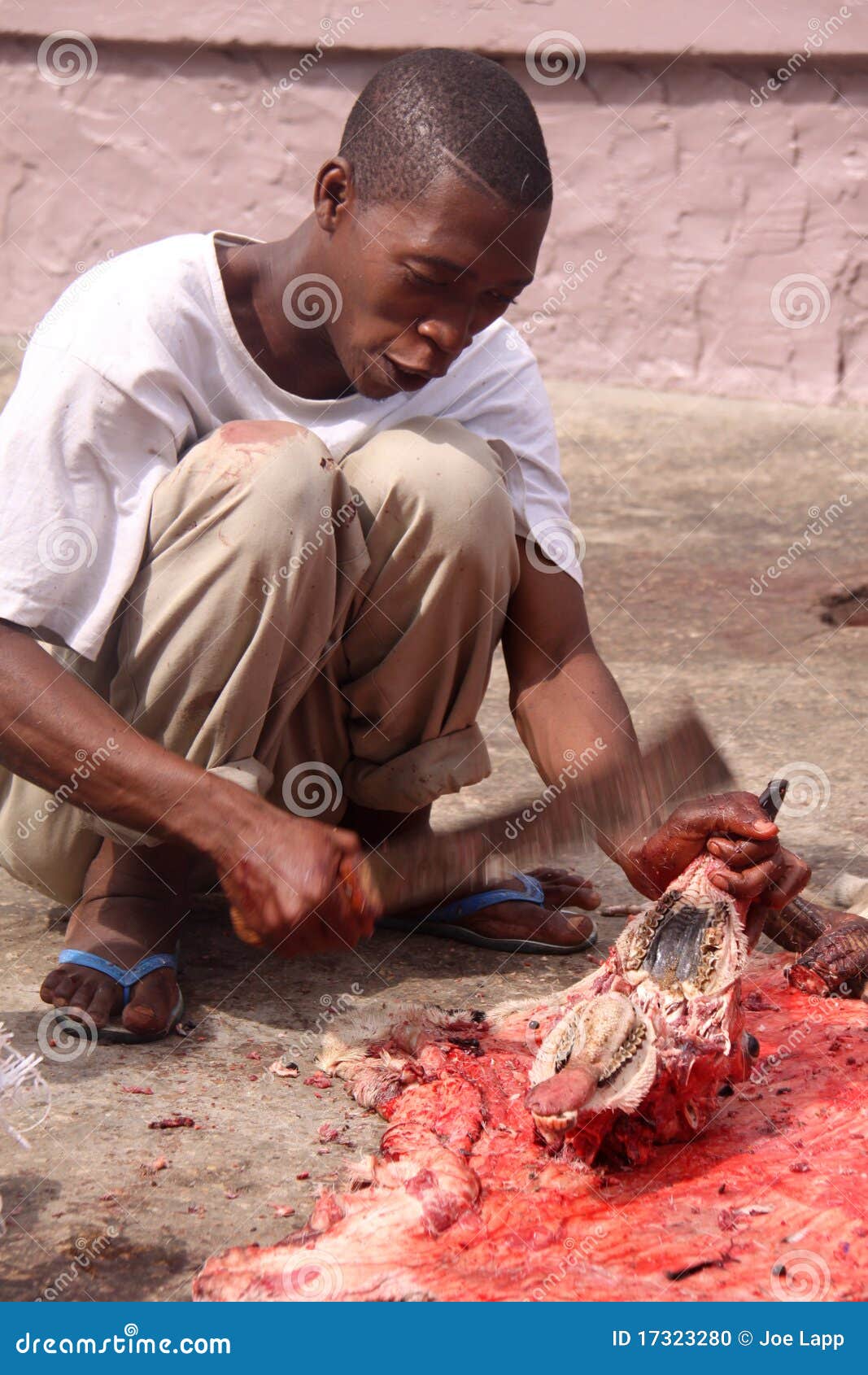 Man Splits A Sheep Head Editorial Image - Image: 17323280