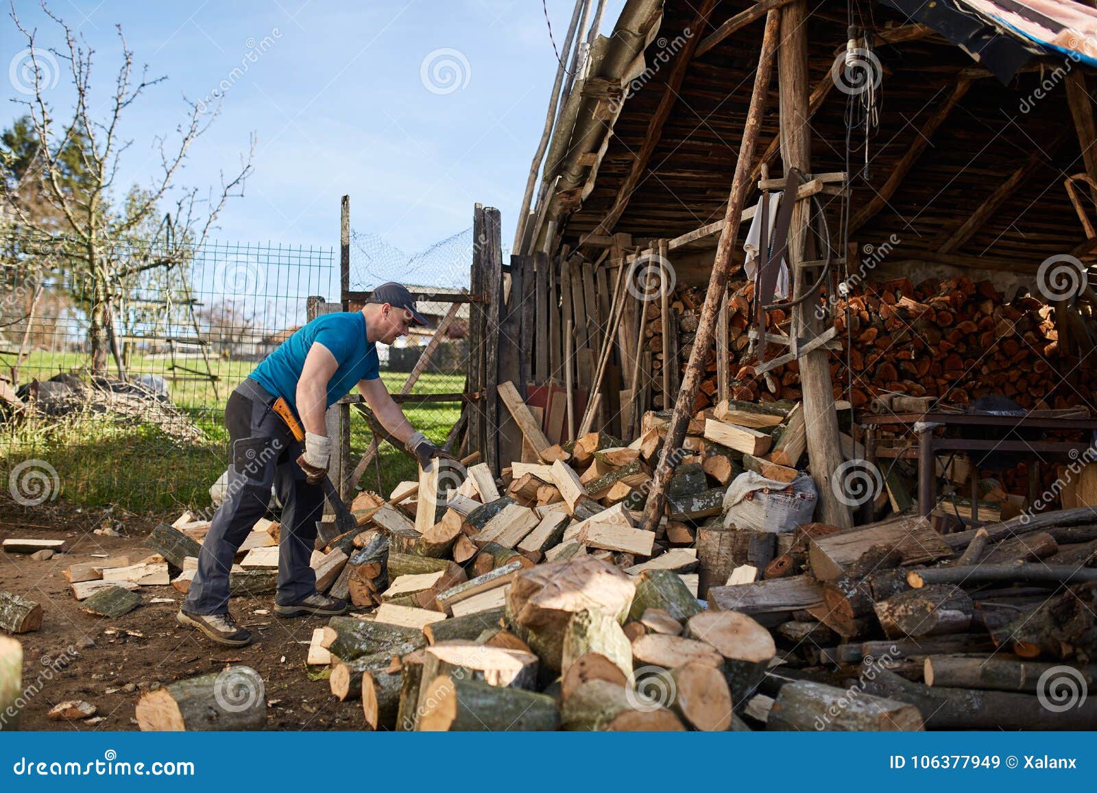 Man splitting wood stock image. Image of split, timber - 106377949