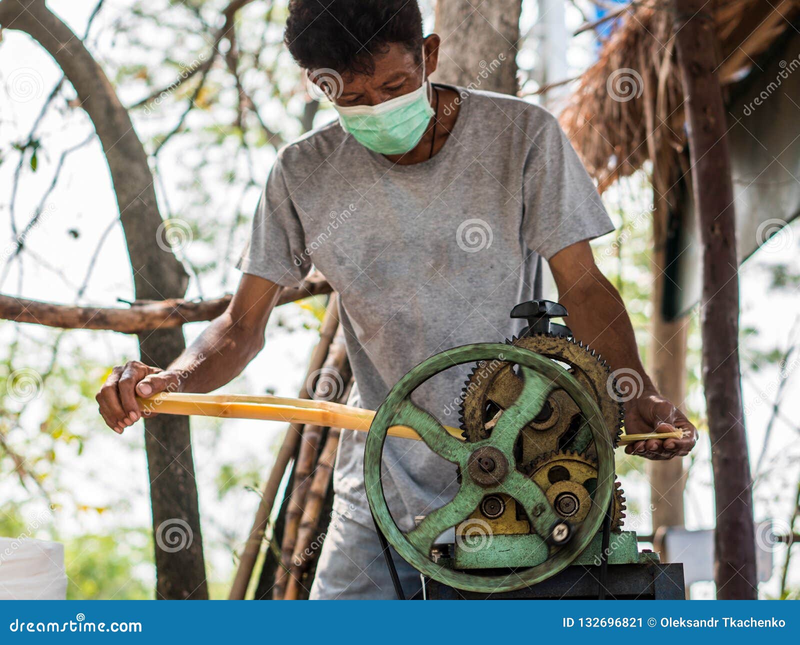 The Man is Squeezing Juice from Sugar Cane. Using Manual Mechanism for