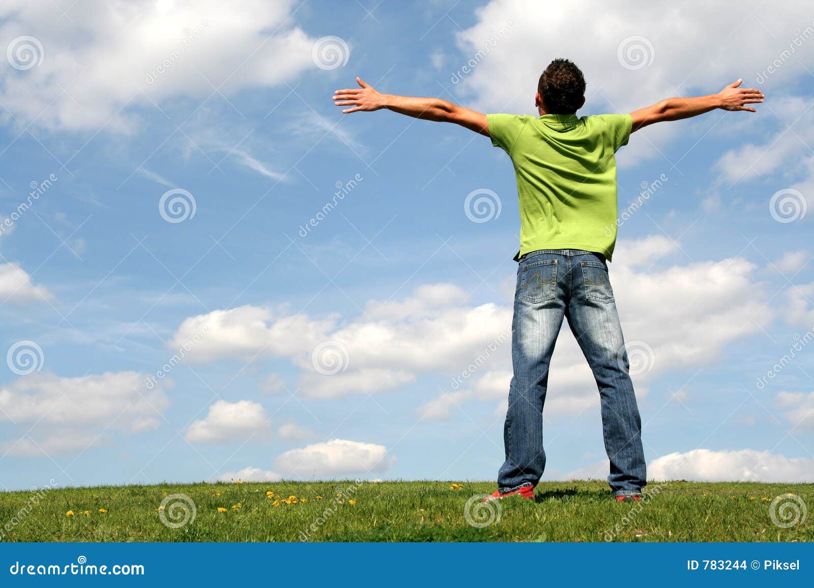 man-standing-on-grass-stock-photo-image-of-backs-outdoor-783244