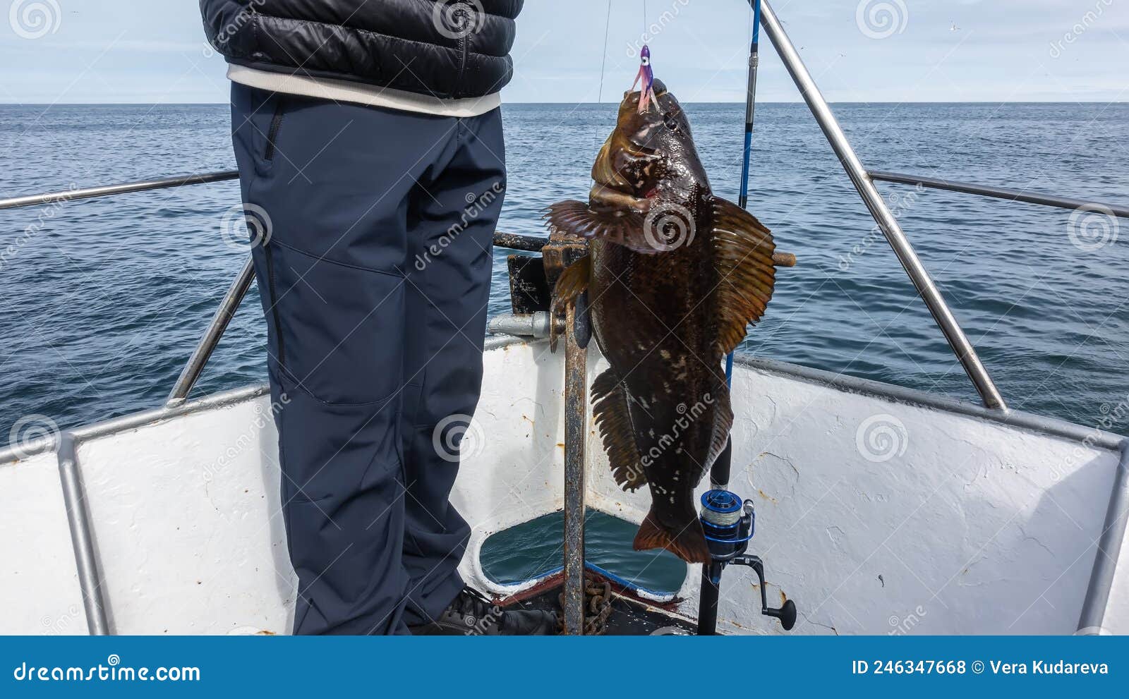 53,856 Fishing Line Stock Photos - Free & Royalty-Free Stock Photos from  Dreamstime