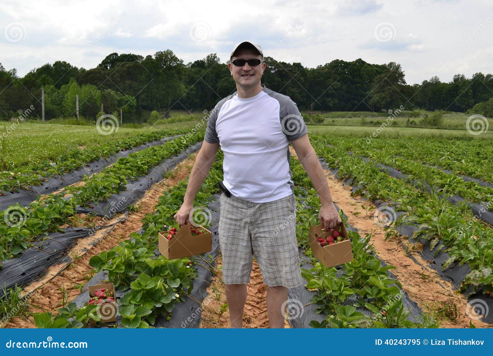 man stood in strawberry fields
