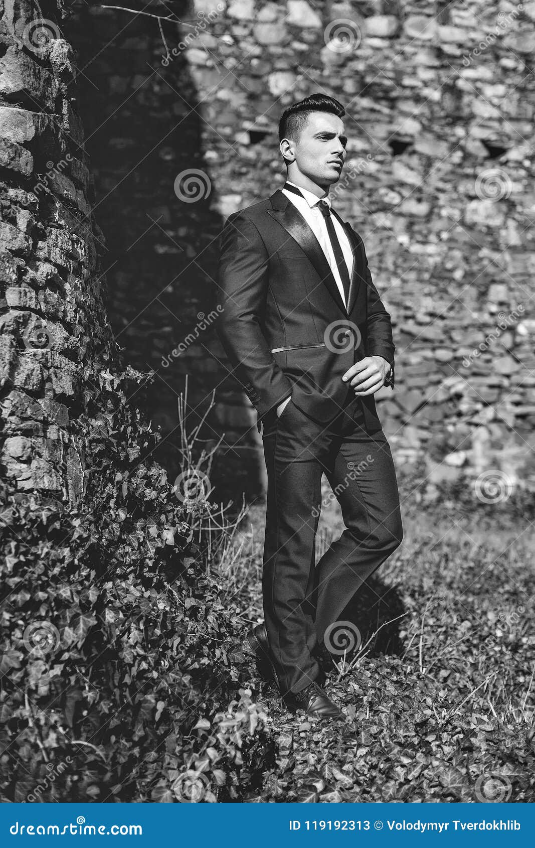 A man in a business suit businessman poses against a gray background  straightening his tie and looking at the camera Stock Photo | Adobe Stock