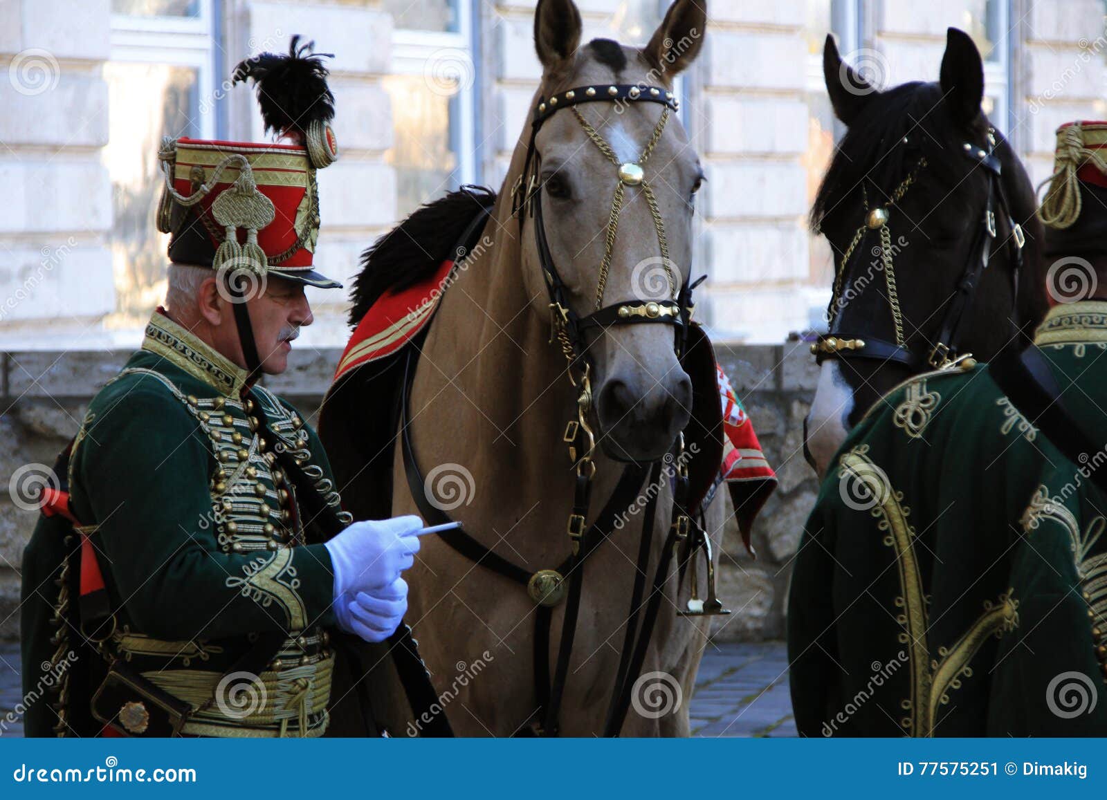 A Man in a Suit Hussar and Two Horses Budapest Editorial Photo Image