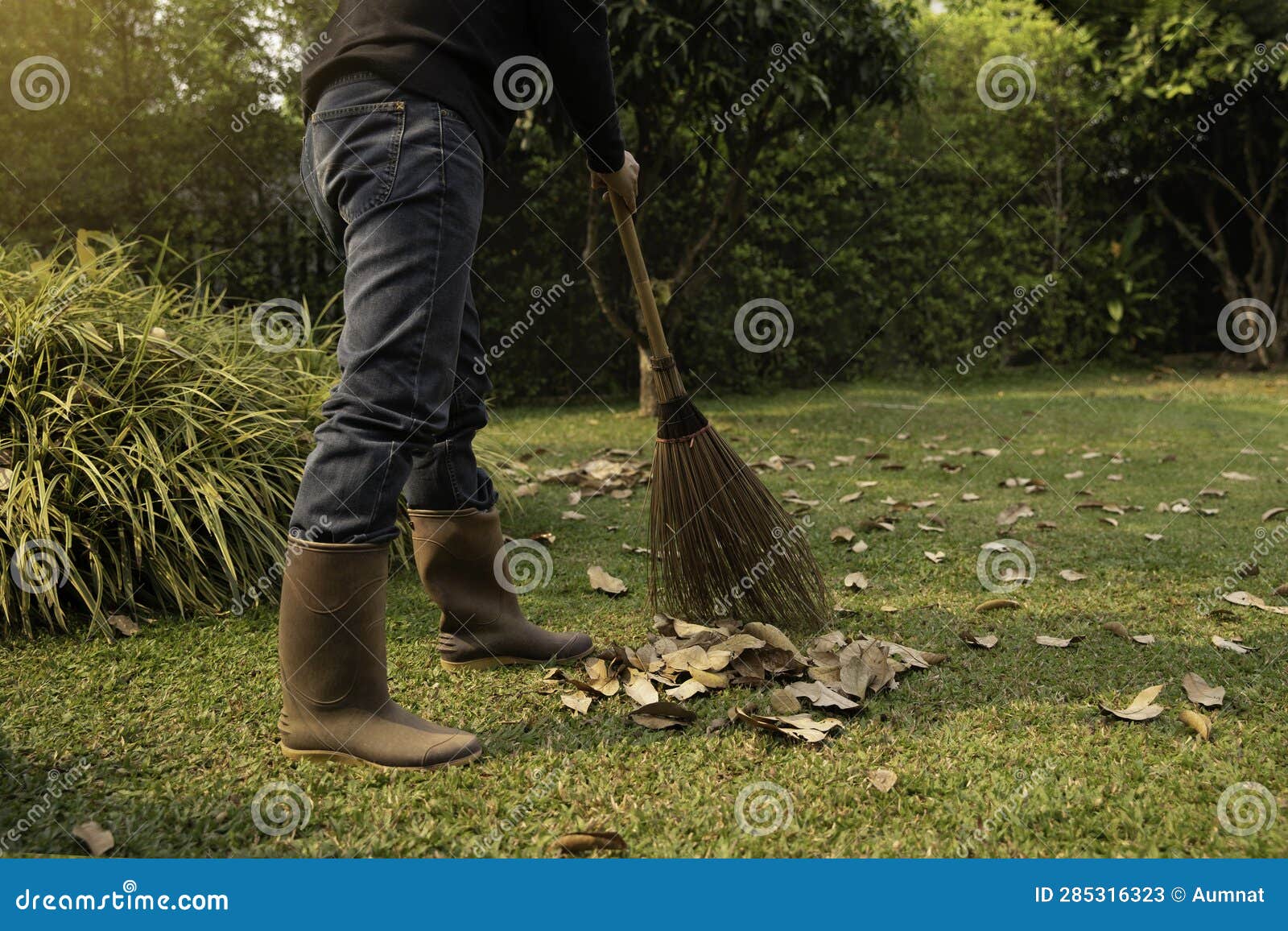 A Man Sweeping Dry Leaves in Garden at Home Stock Image Image of