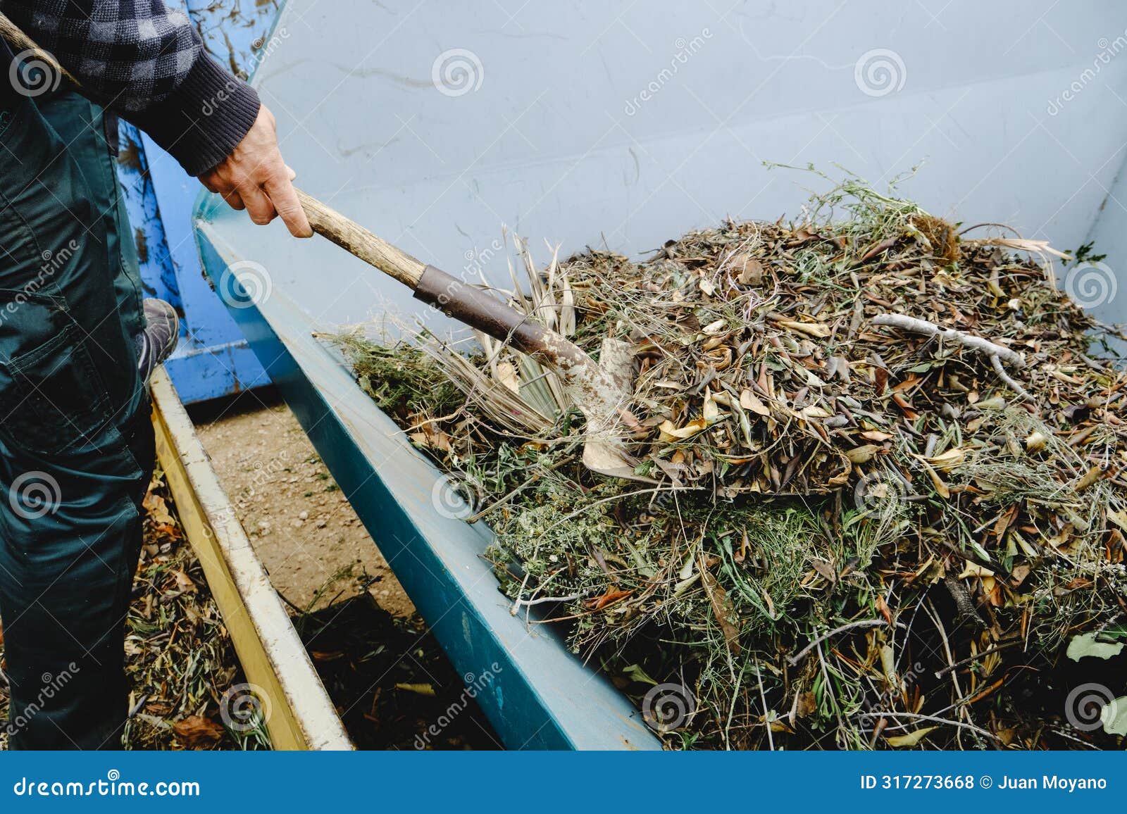 man throwing plant remains into a large container