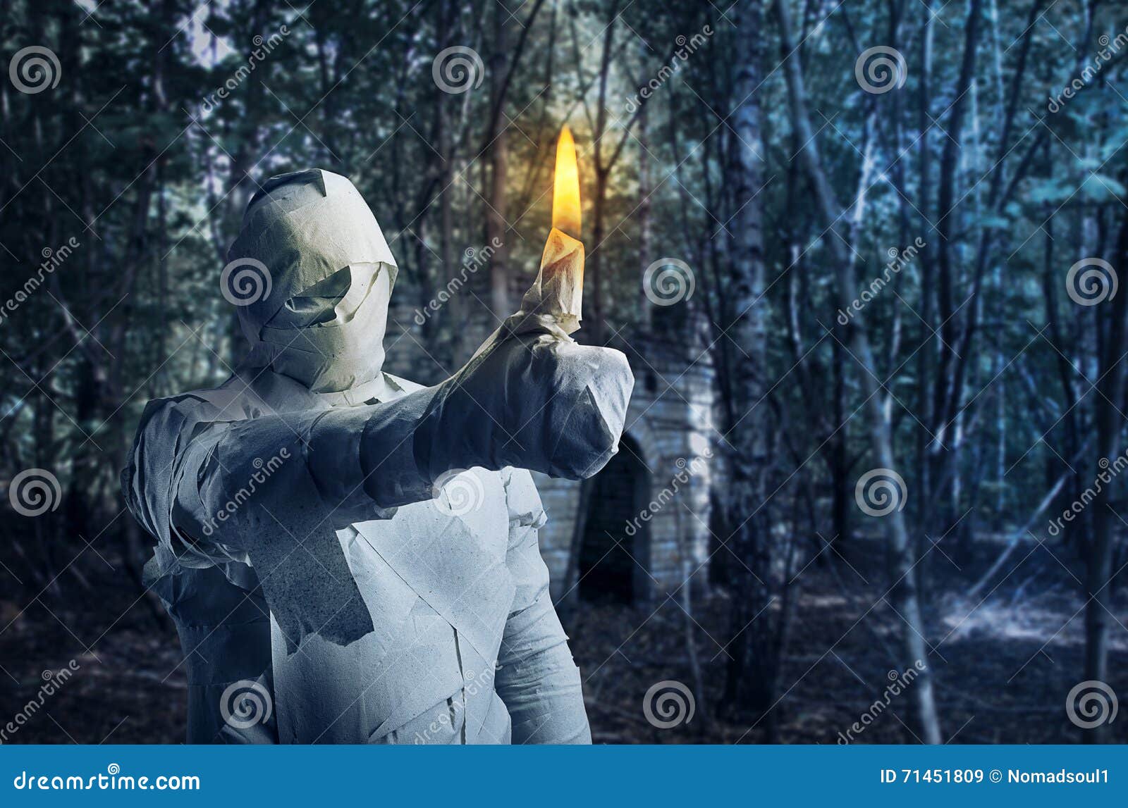 Man in Toilet Paper Burning Stock Image Image of festival, fire 71451809