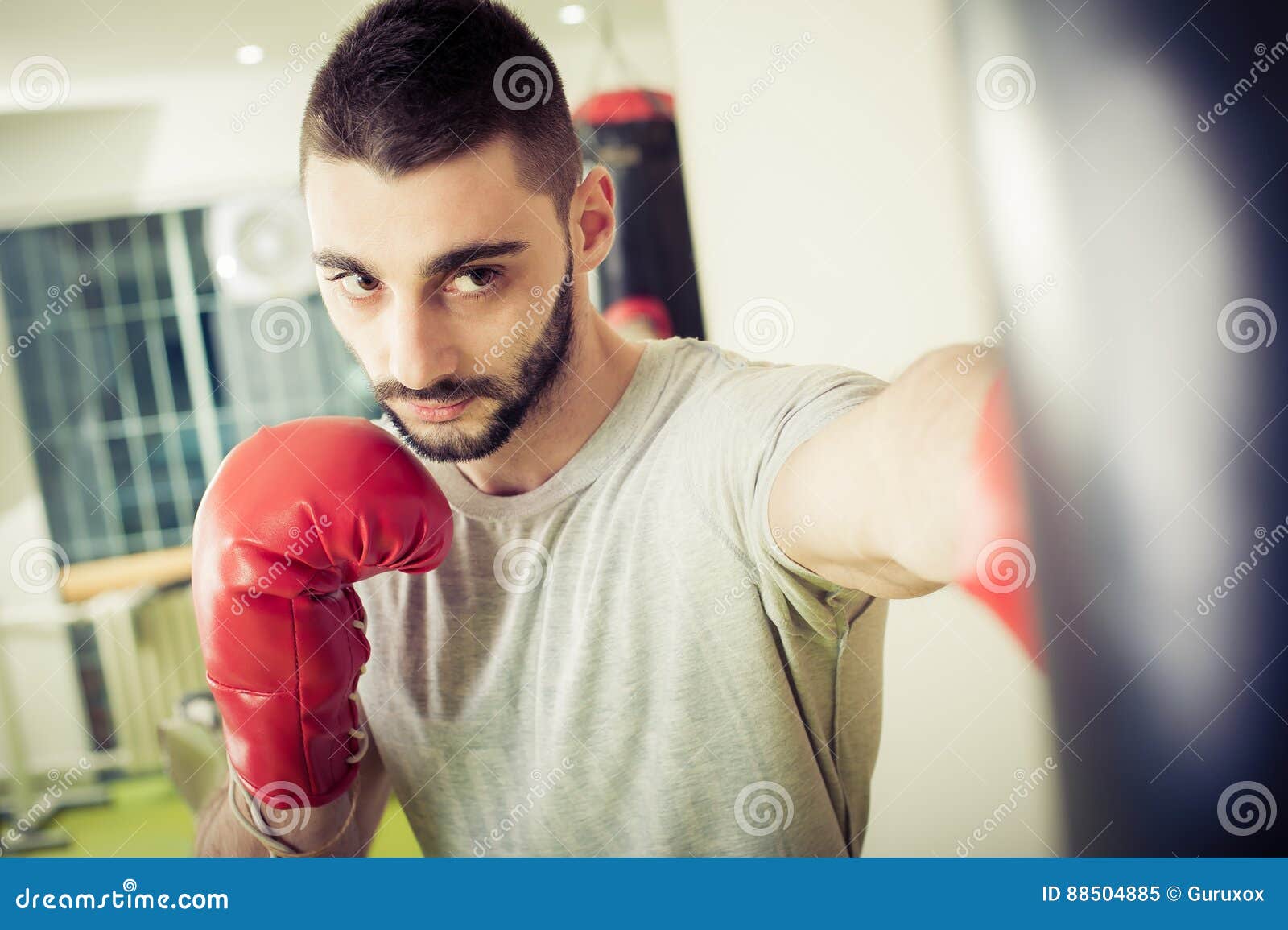Man Training on a Punching Bag in the Gym Stock Image Image of boxer