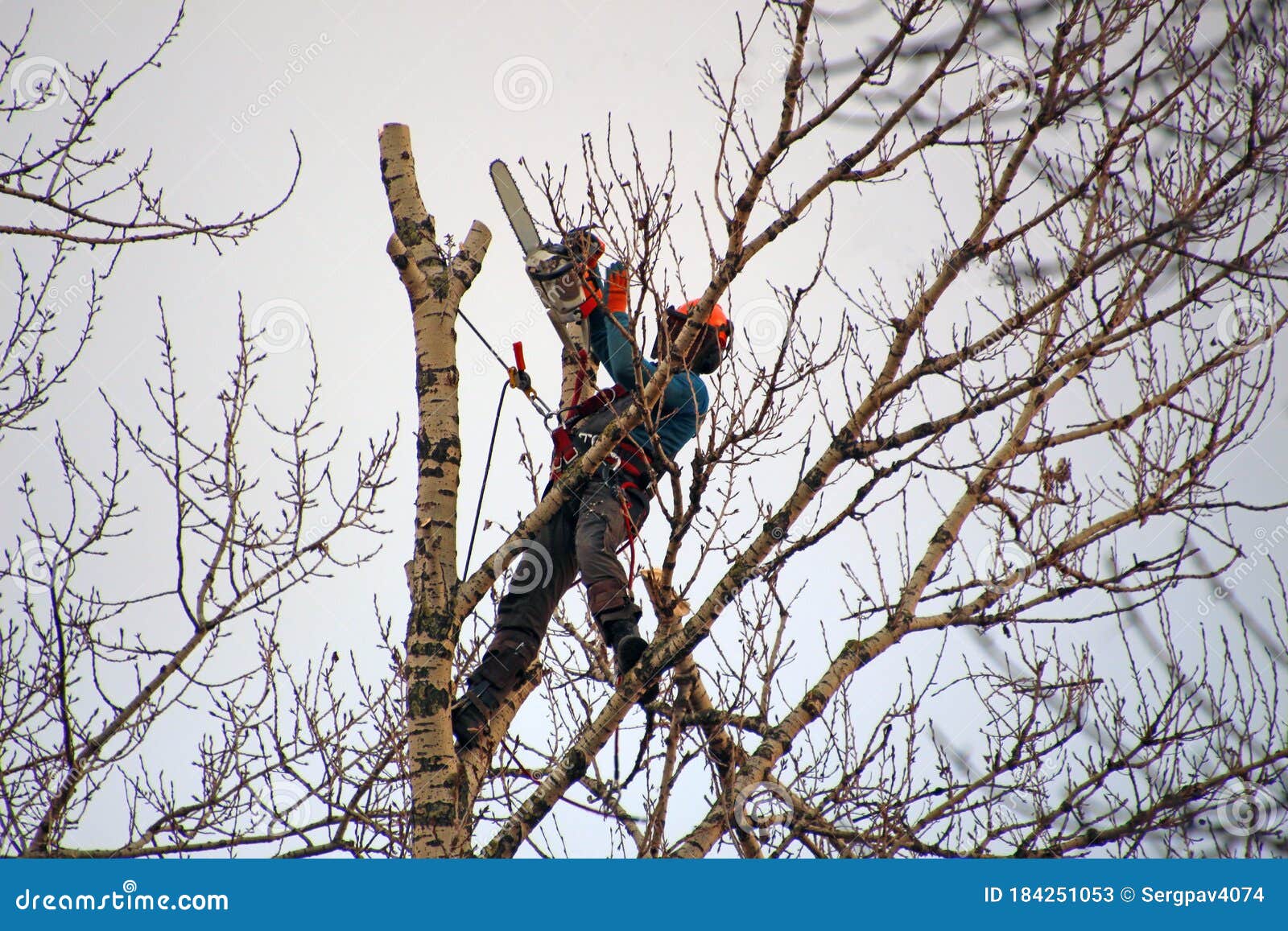 A Man on a Tree Sawing Branches Stock Image Image of decoration, fall