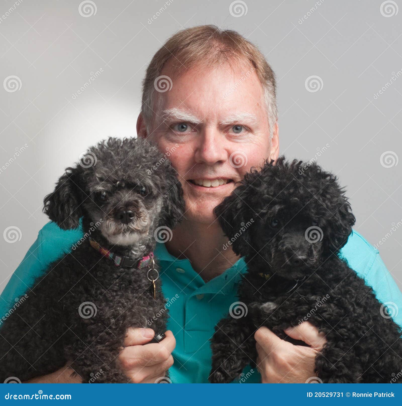 Man Two Poodles Stock Image Image 20529731