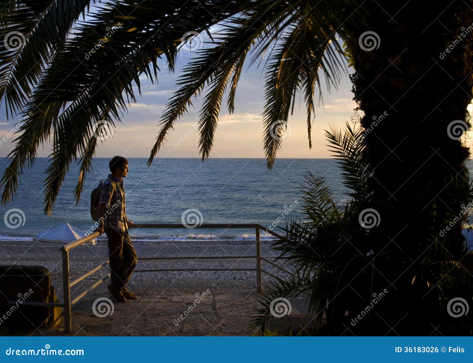 Man Under Palm Tree During Sunset Stock Photo - Image of ...