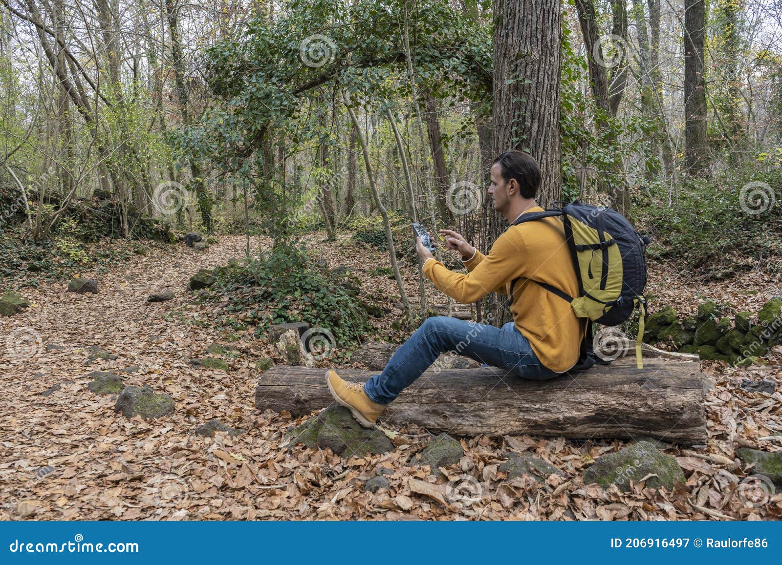 man using smart phone sitting with backpack on a tree in forest.travel concept, walk, excursionist, hiker outdoor lifestyle.copy