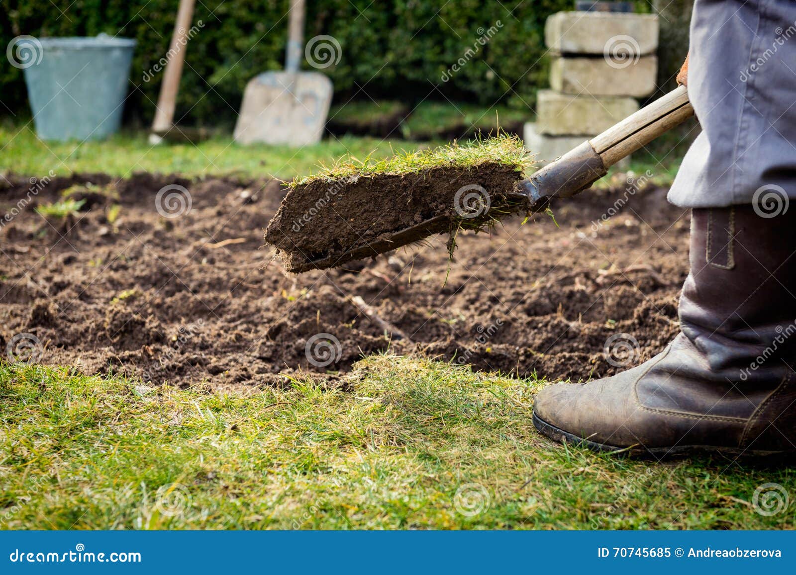 Man Using Spade for Old Lawn Digging, Gardening Concept Stock Image