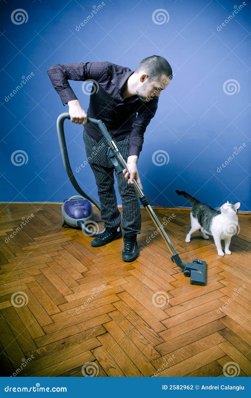 Man Vacuuming, Looking at Cat Stock Photo Image of appliance, mess