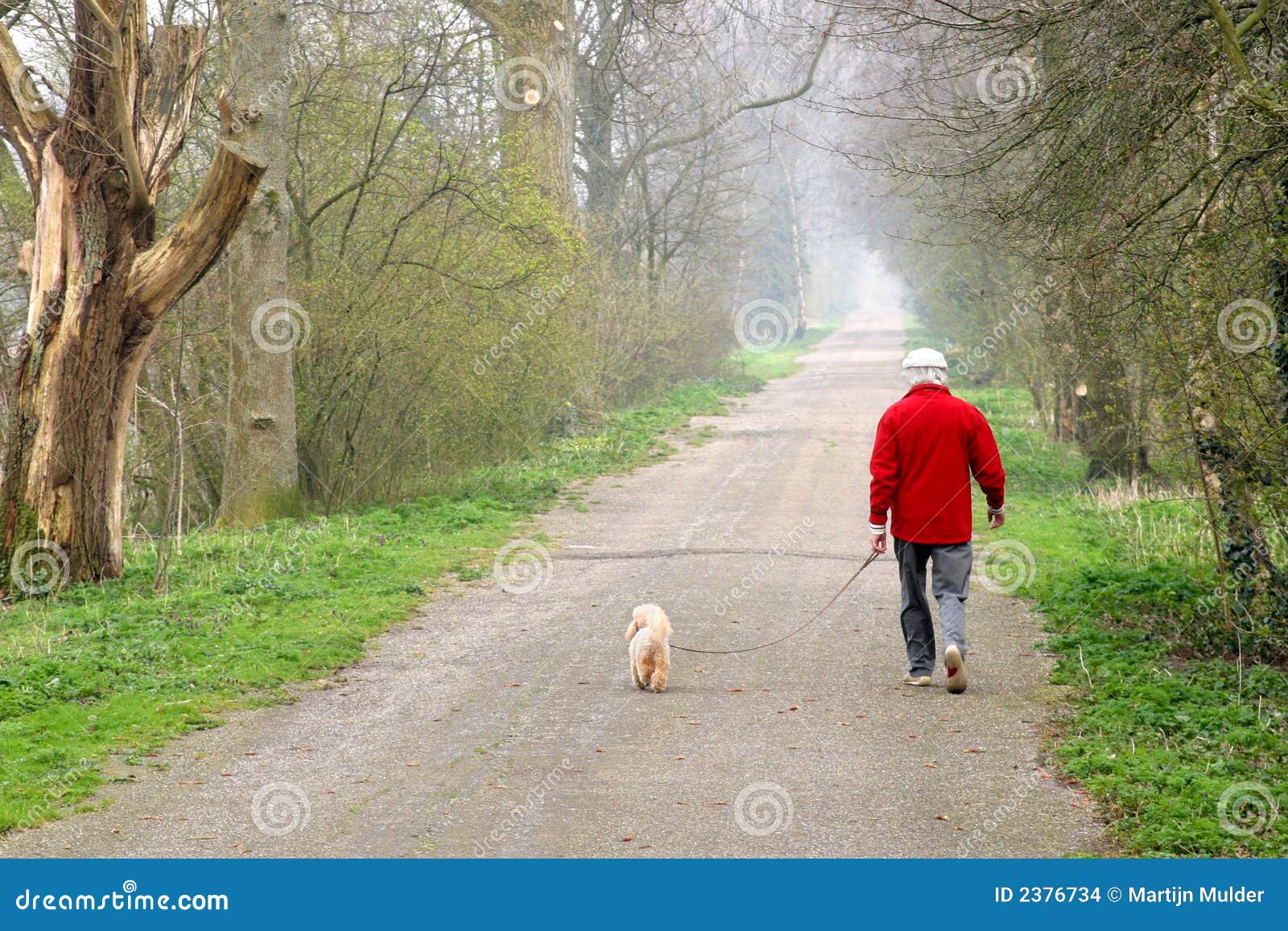 man walking dog